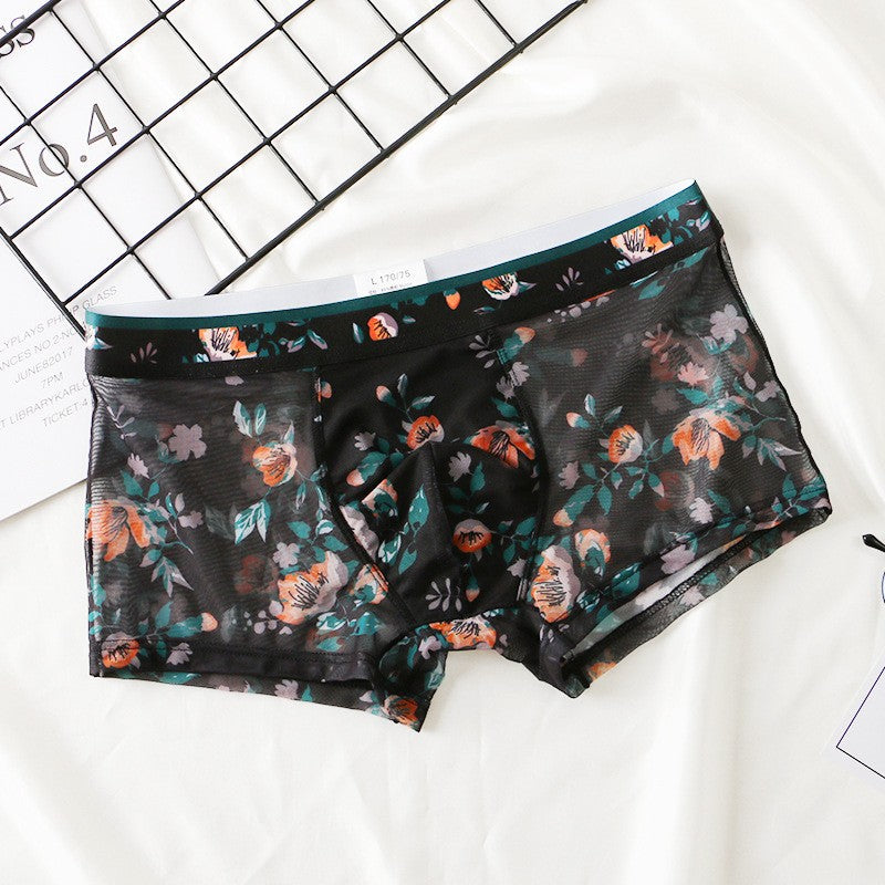 zd335-Men's summer thin mesh transparent boxer briefs