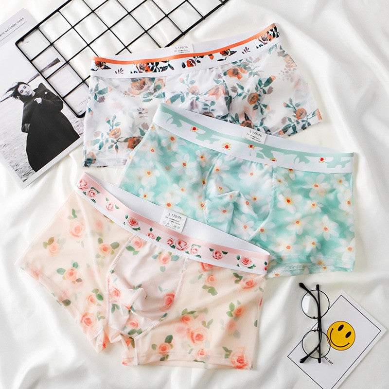 zd335-Men's summer thin mesh transparent boxer briefs