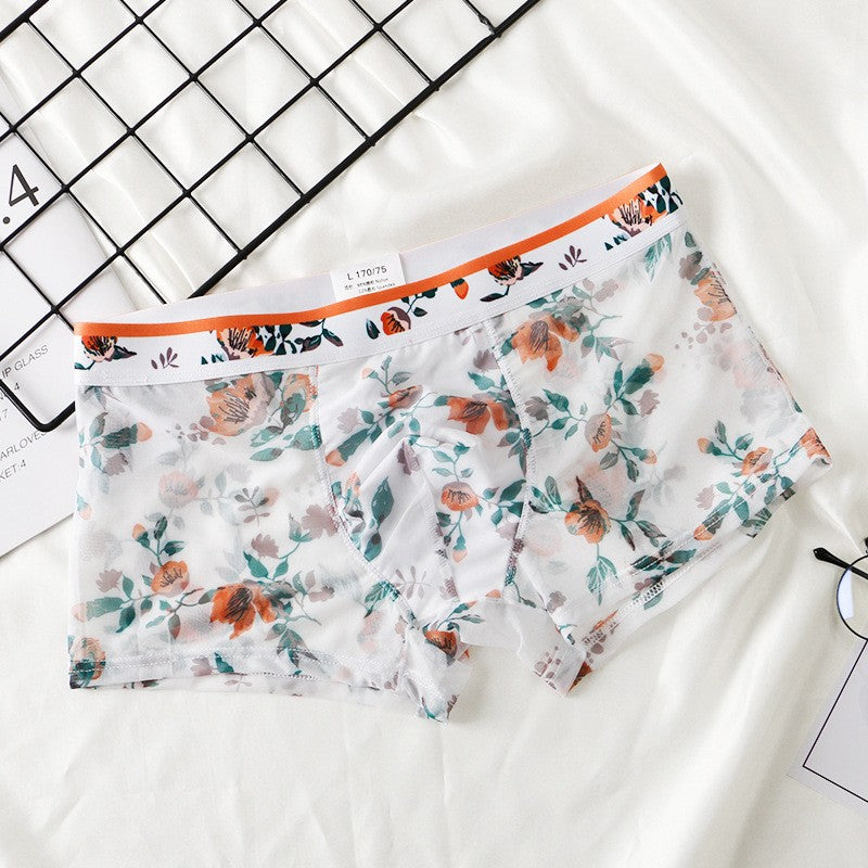 zd335-Men's summer thin mesh transparent boxer briefs