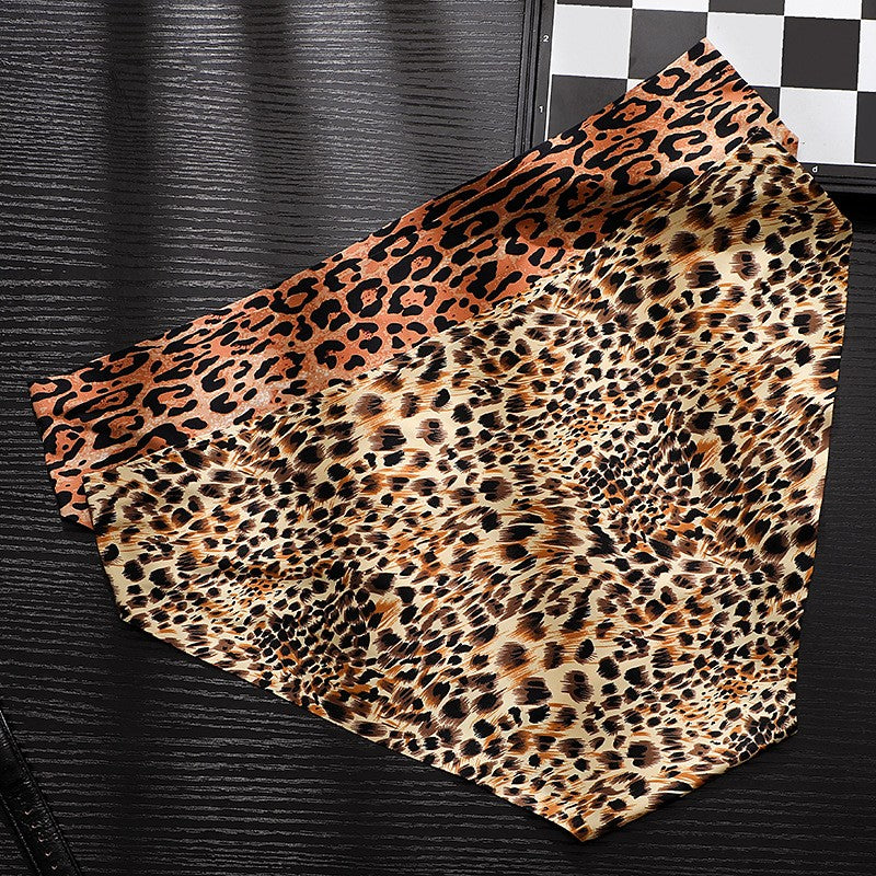 zd360-5 Pieces Leopard print sexy men's briefs