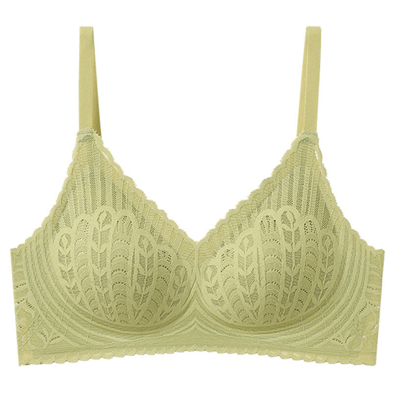 zp389-Women's push-up lace bra without wires