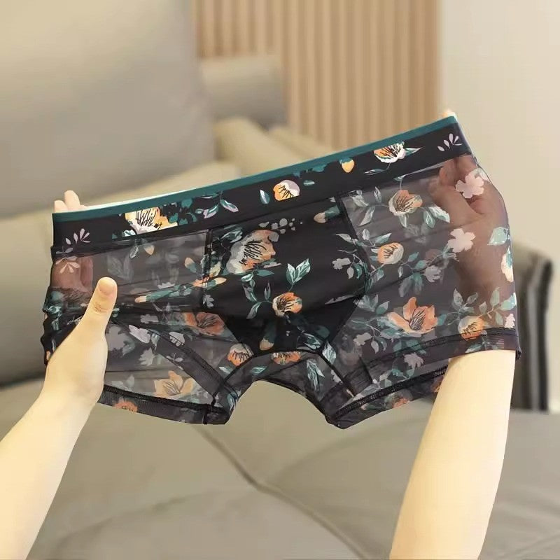 zd335-Men's summer thin mesh transparent boxer briefs